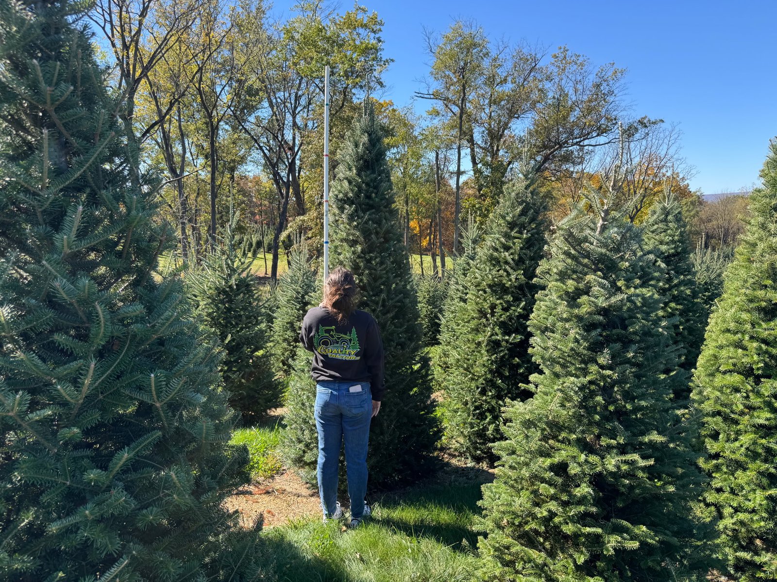 Quality Tree Farm field photograph 1