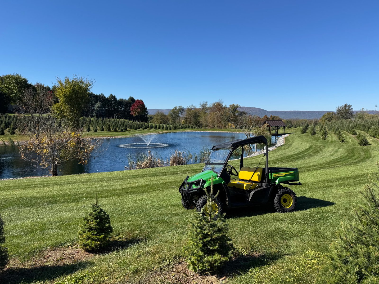 Quality Tree Farm field photograph 2