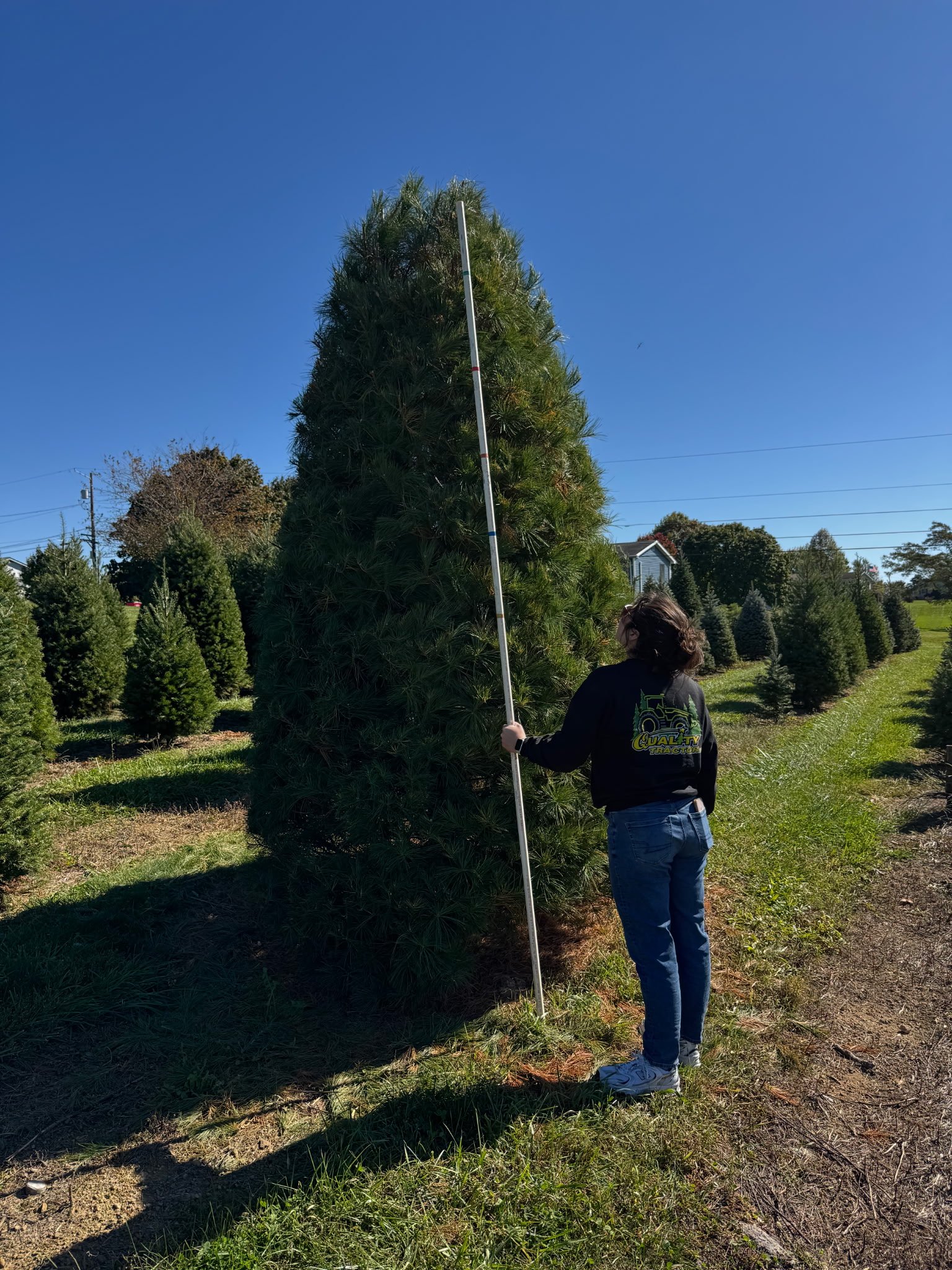 Quality Tree Farm field photograph 3