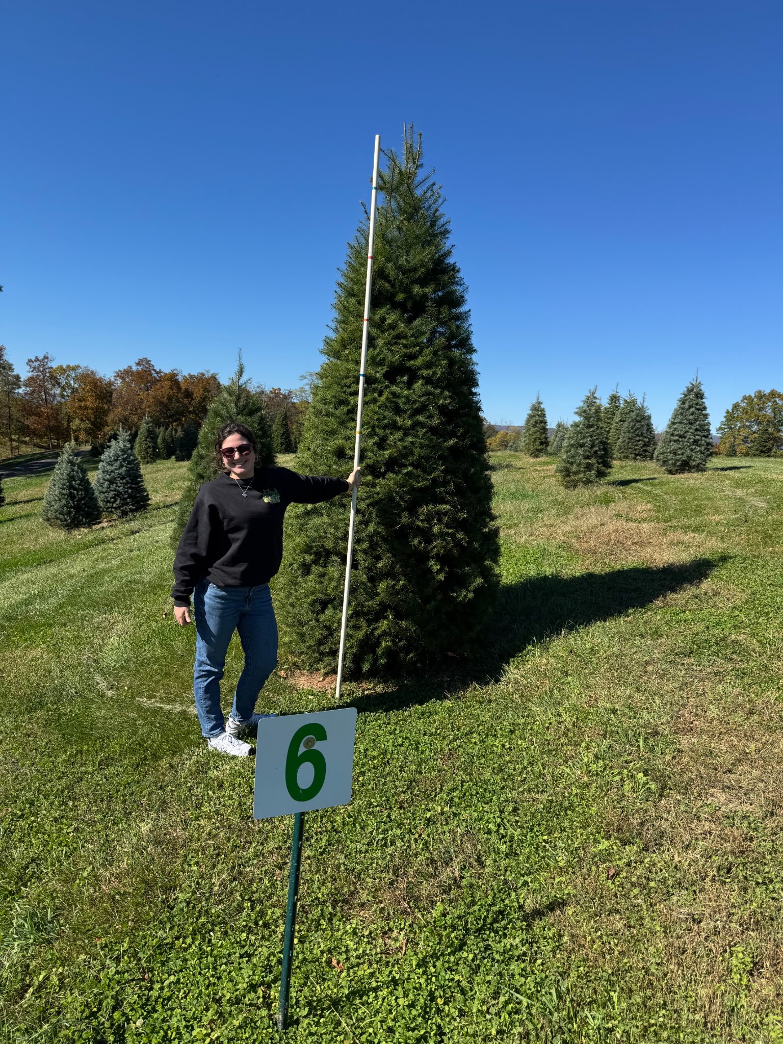 Quality Tree Farm field photograph 5