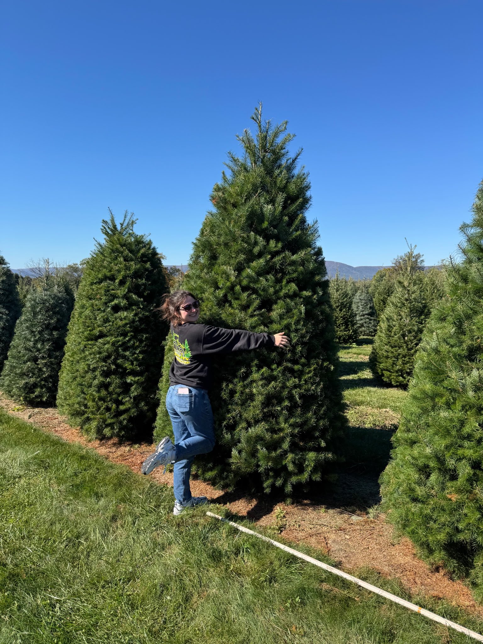 Quality Tree Farm field photograph 6