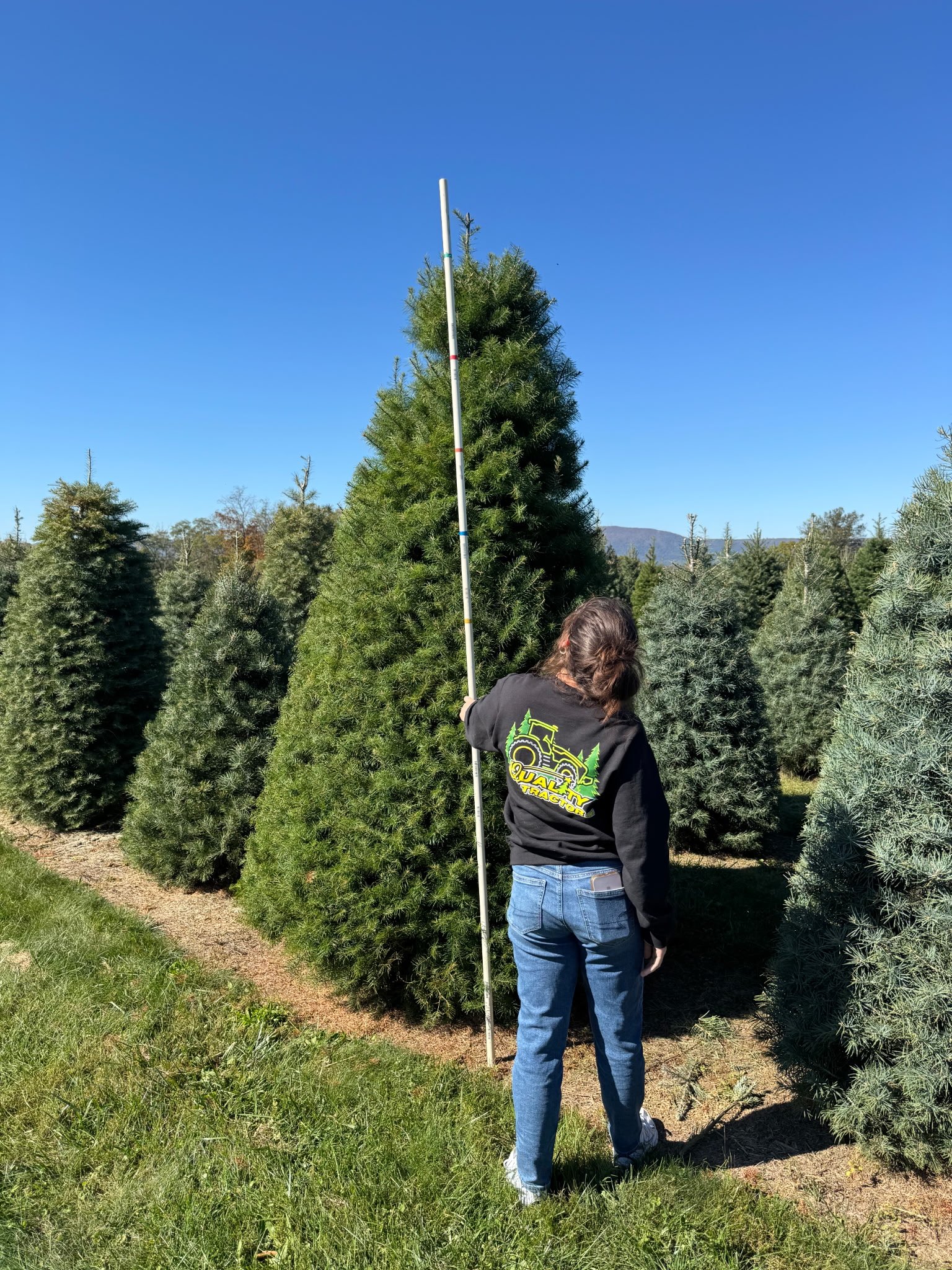 Quality Tree Farm field photograph 7