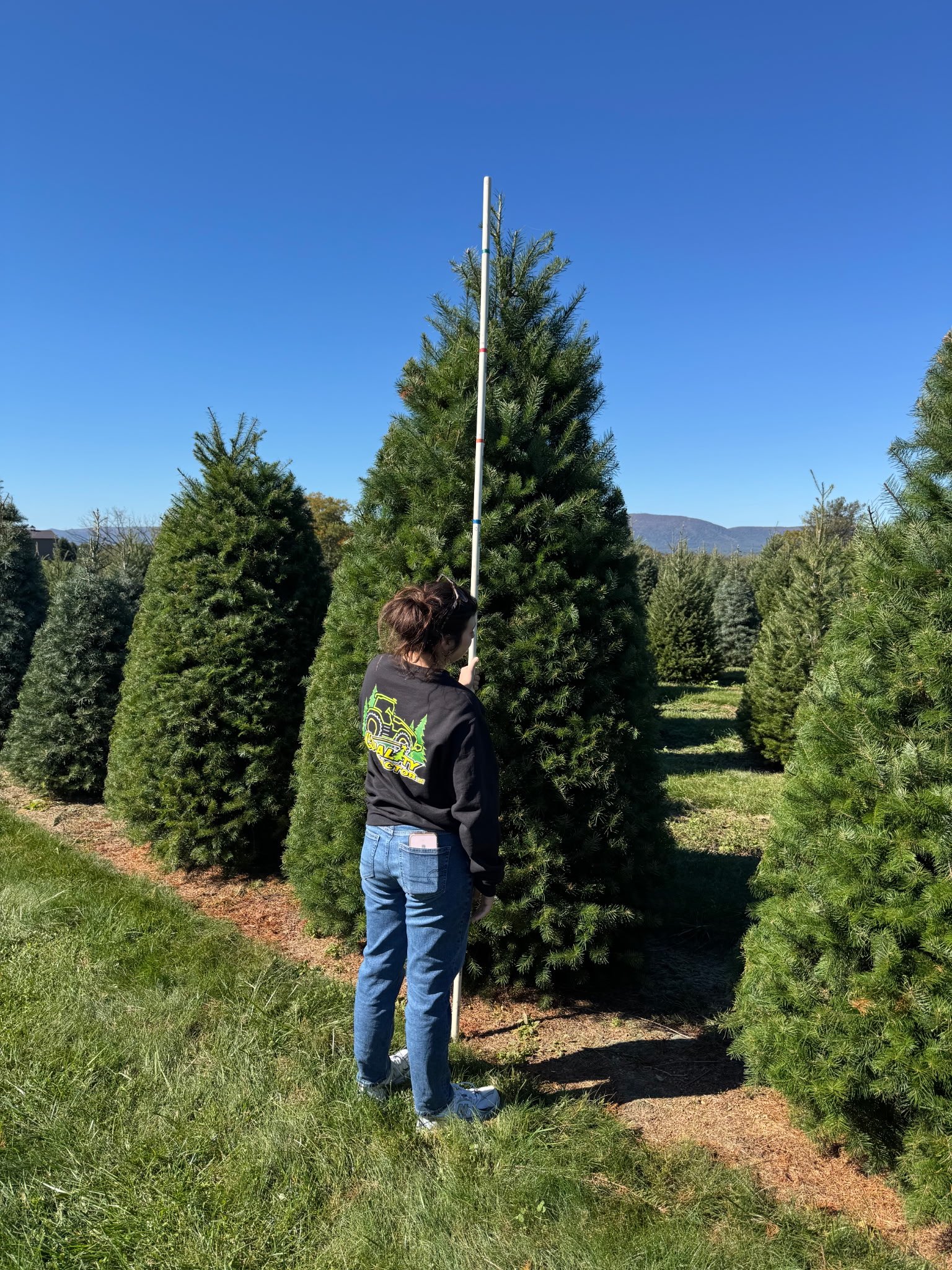 Quality Tree Farm field photograph 11