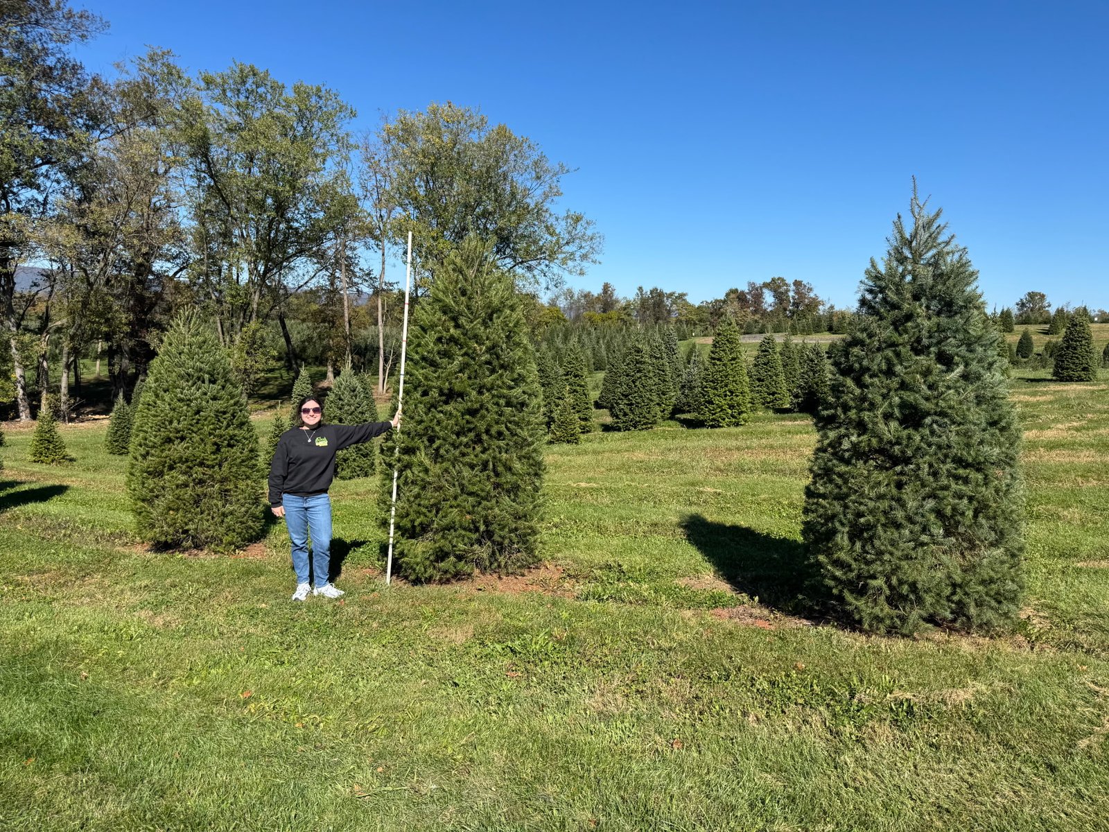 Quality Tree Farm field photograph 13