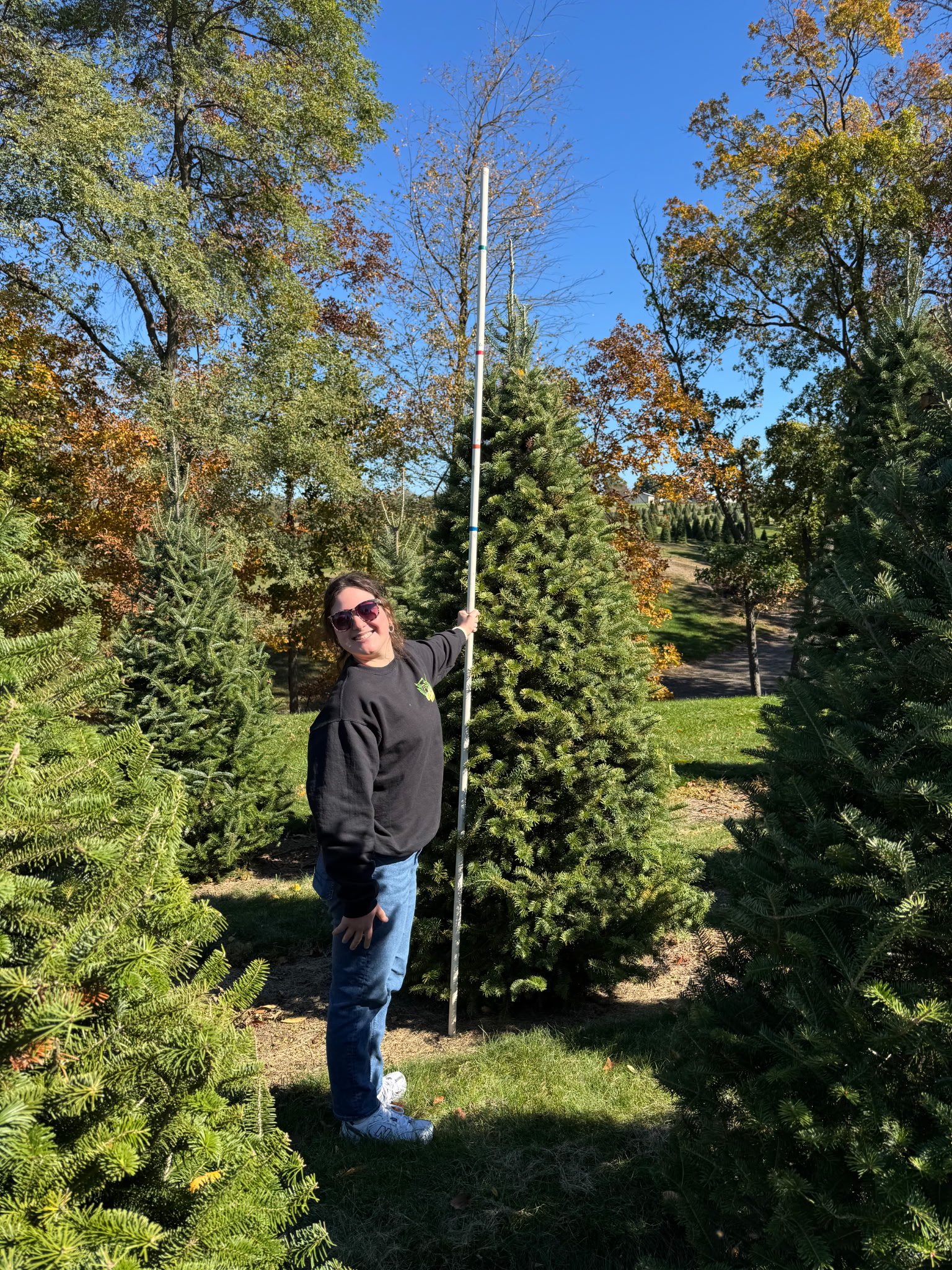 Quality Tree Farm field photograph 14