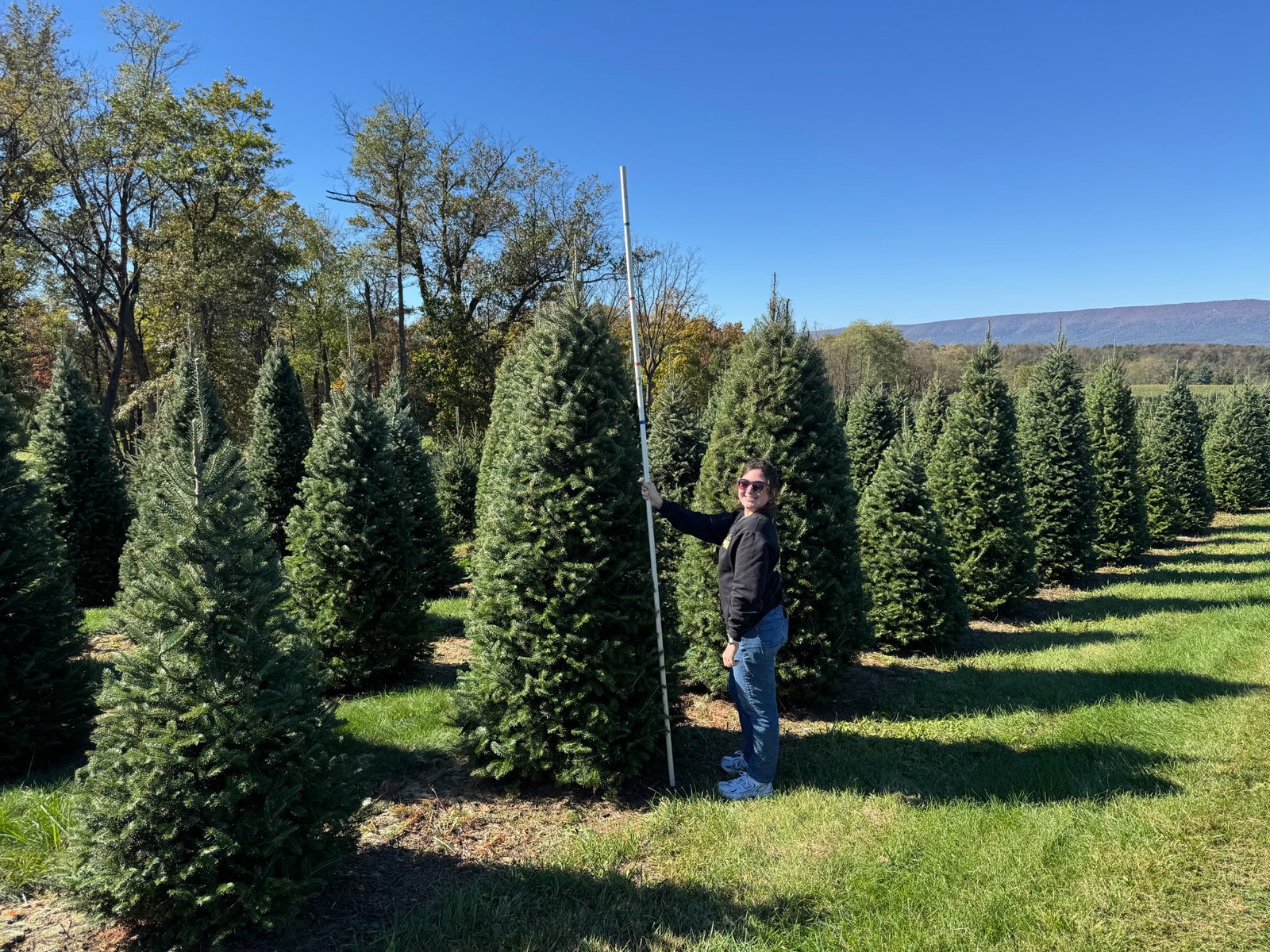 Quality Tree Farm field photograph 15