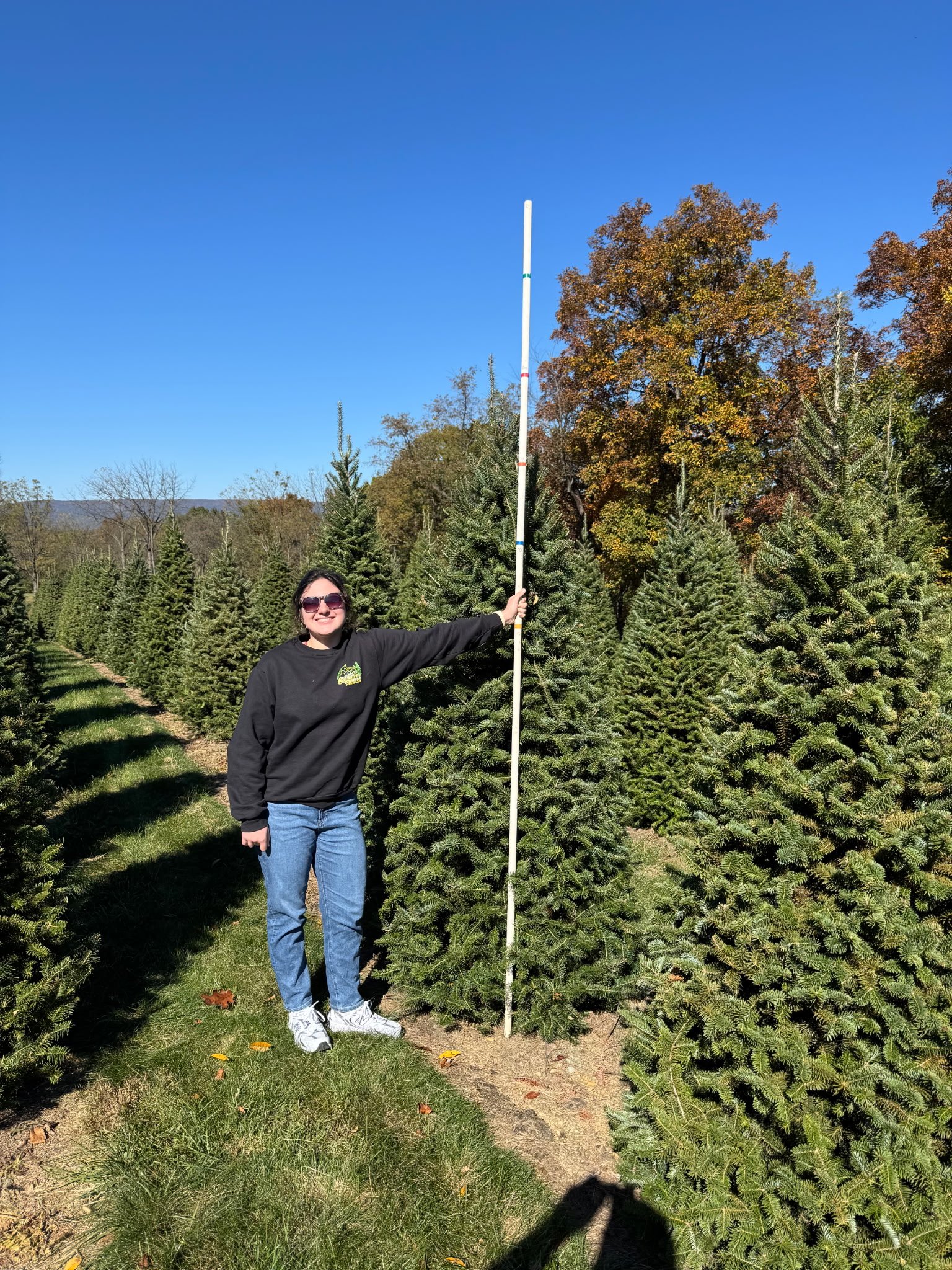 Quality Tree Farm field photograph 17