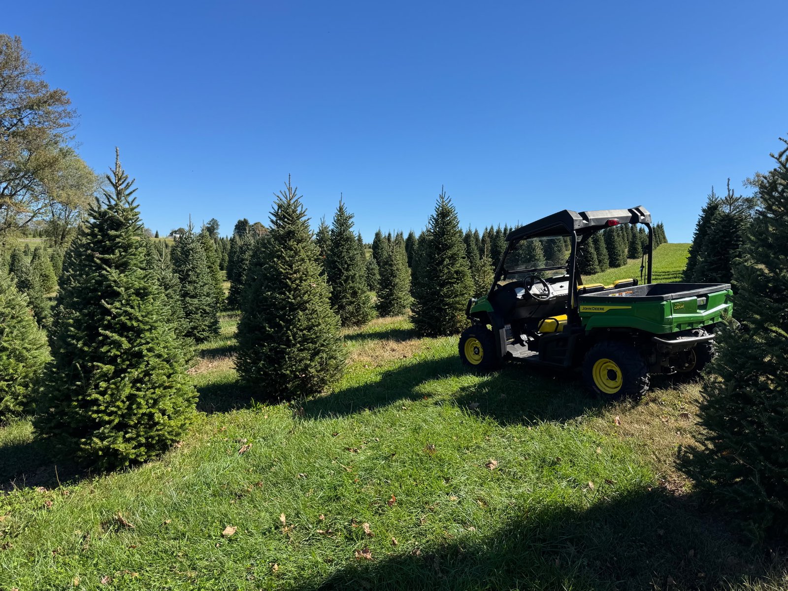 Quality Tree Farm field photograph 19